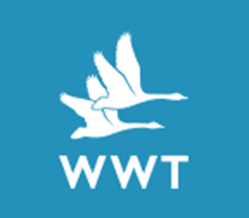 Wildfowl And Wetlands Trust