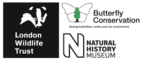 Brilliant Butterfly Banks 2019