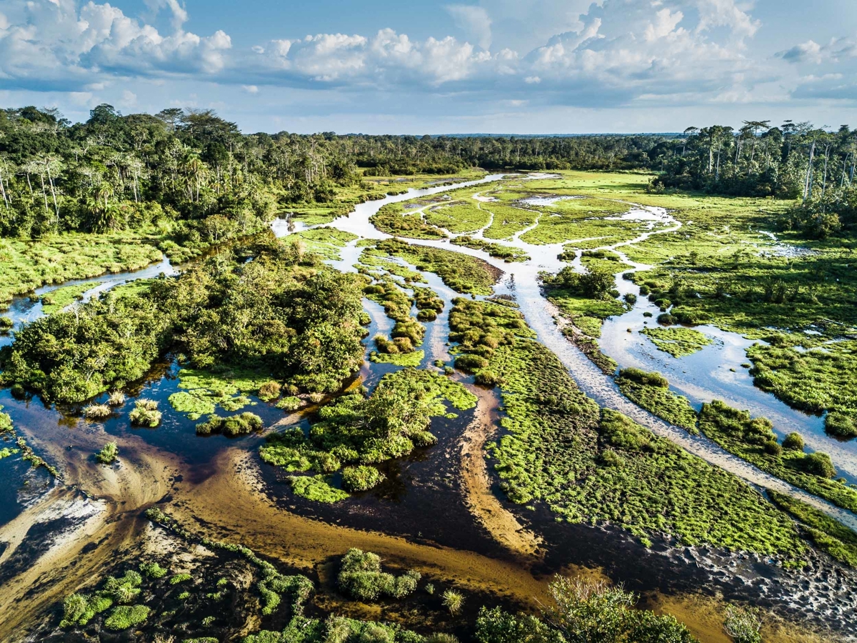 African Parks Postcode Climate Challenge