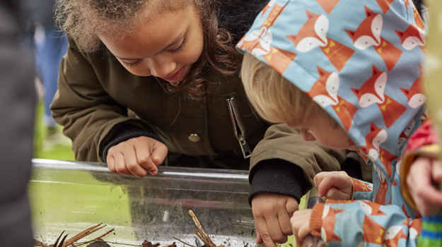 Royal Parks mission invertebrate