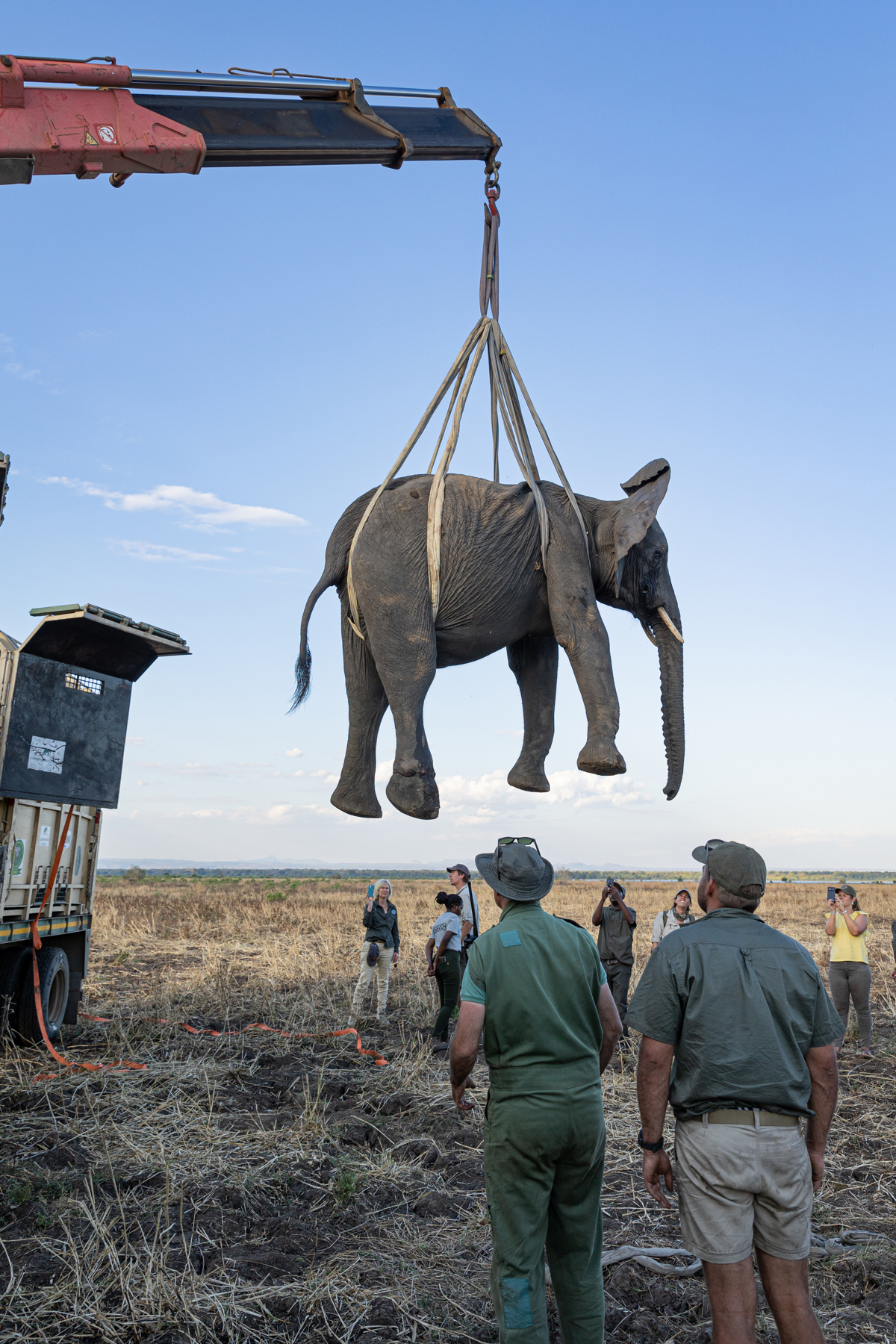 African Parks 4Th Group Capture, Elephant Translocation 2022, Liwonde National Park, Malawi ┬⌐ Frank Weitzer (167)