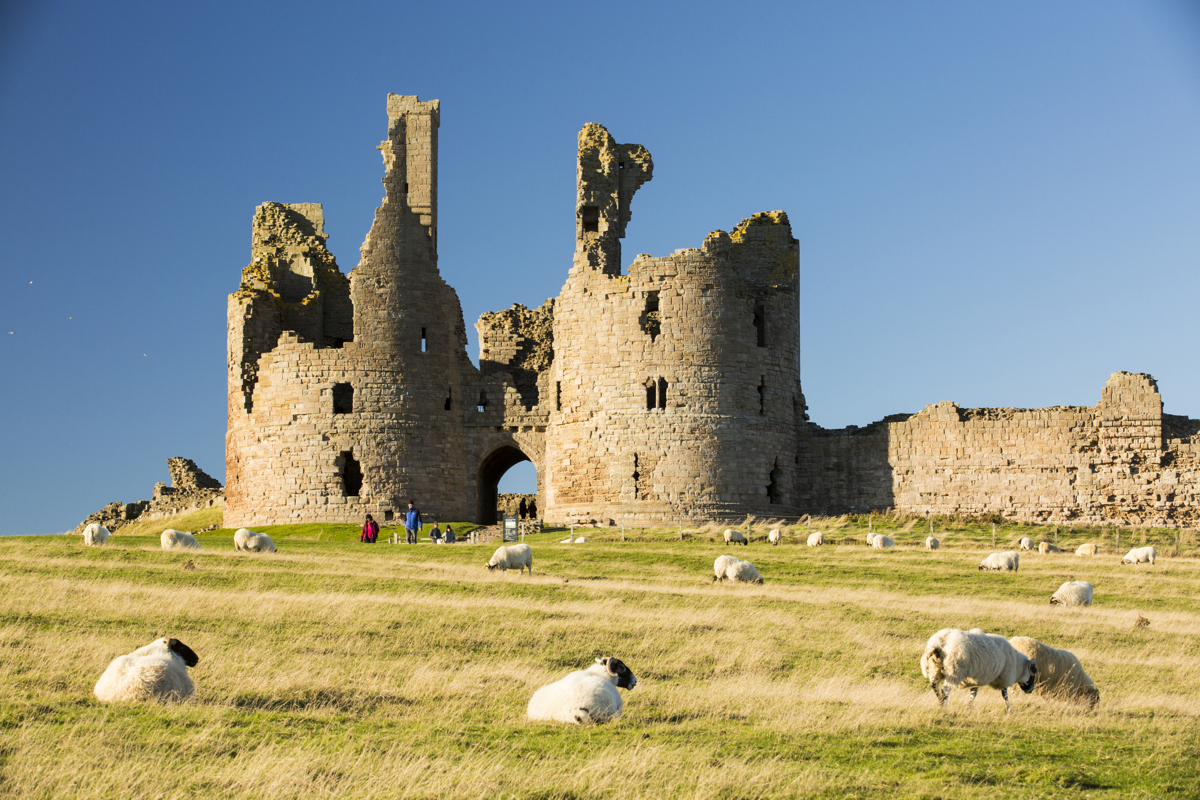 Ramblers Northumberlandcoastwalkguide Dunstanburghcastle