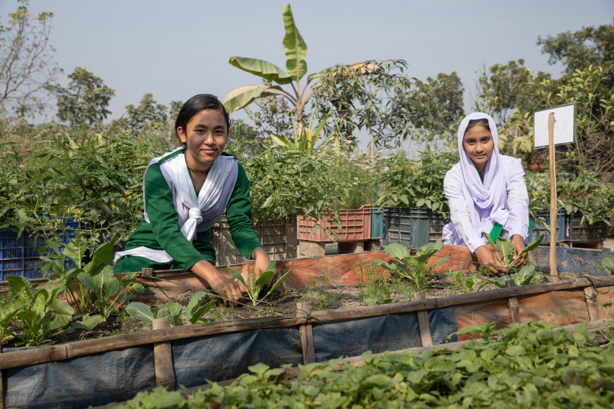 Pallabi, 14 (left) and Razia, 13 (right) tend to their rooftop school garden in Rangpur, Bangladesh