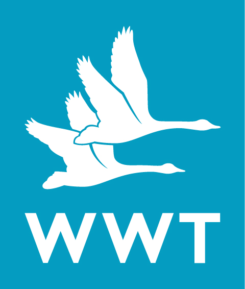 Wwt Logo Boxed Rgb