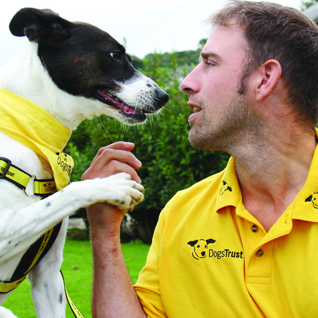 Contents2 Photo 1 Lucy Loves Spending Time With Trainer James Todd But Is Hoping To Be Part Of A Forever Family Soon Kj Photography Leeds