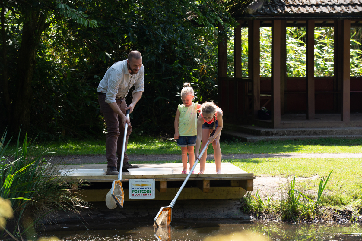 Pond Dipping 1