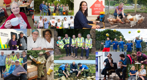 Local Charities